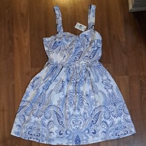 Dex Blue and White Paisley Midi Dress